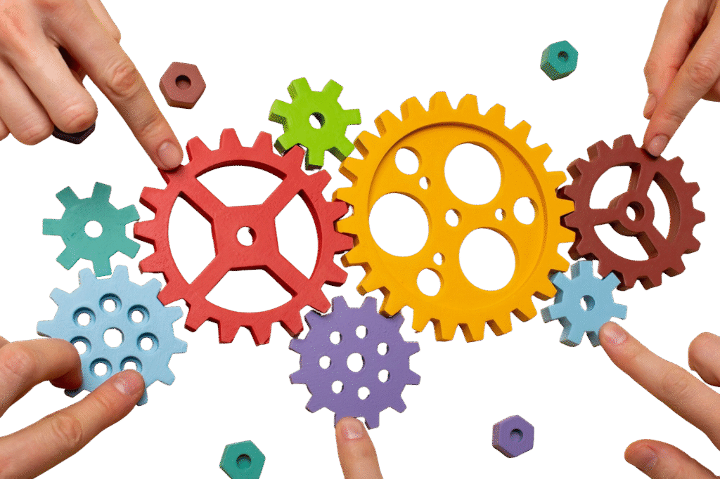 NetSuite customization expert configuring ERP workflows